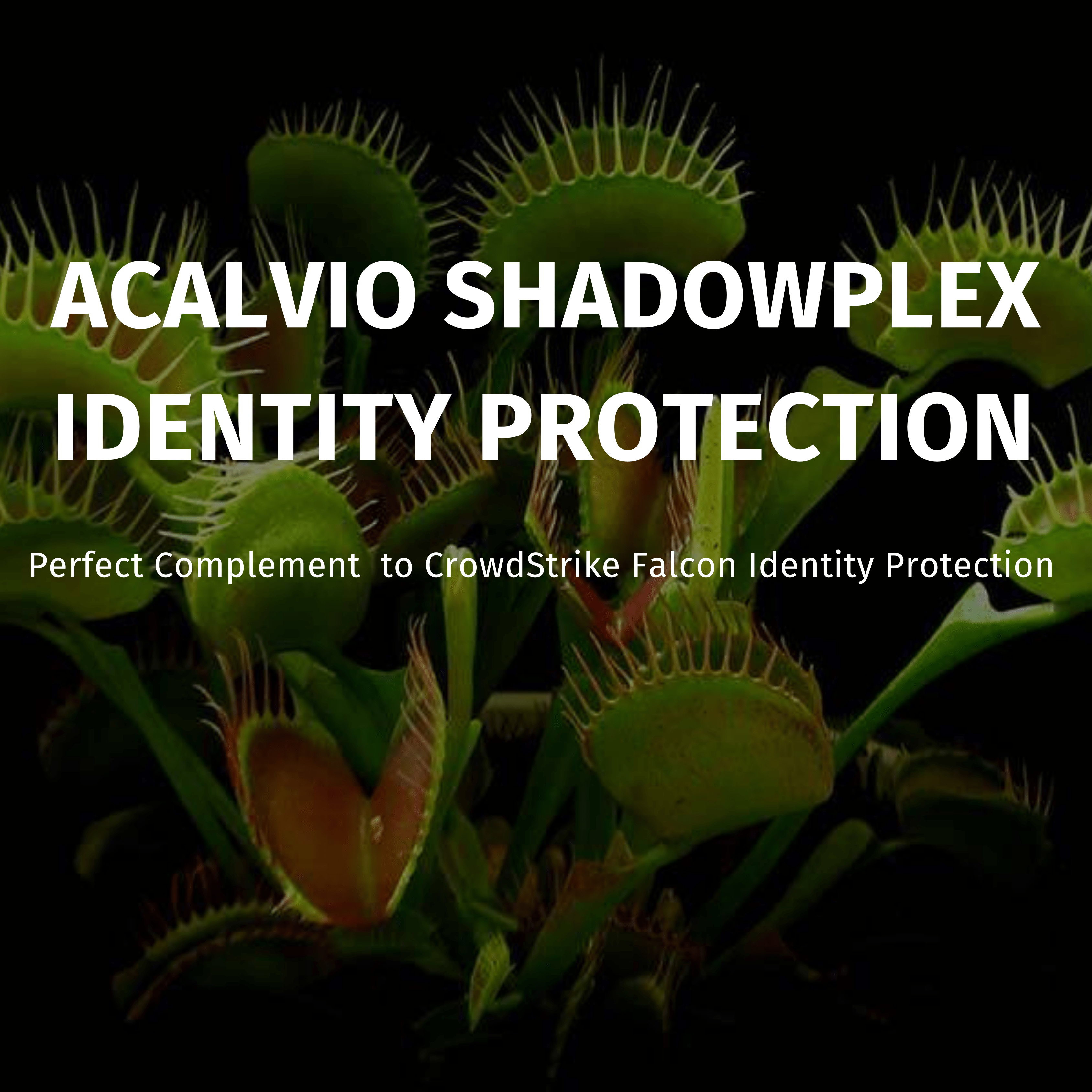 ShadowPlex Identity Protection